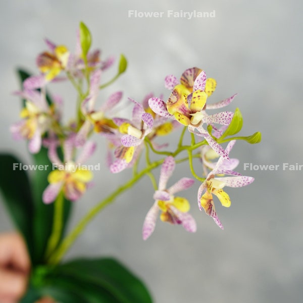 Faux Dendrobium Orchid Plant / Flor artificial de alta calidad / DIY Floral / Maceta / Boda / Decoración del hogar / Regalos - Púrpura claro