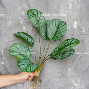 Faux Calathea Orbifolia Turtle Leaf with Roots - Artificial Plant