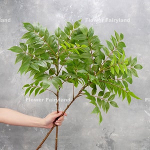 36&quot; Natural Touch Galho de Folha de Glicínia | Planta Artificial de Alta Qualidade | Vegetação DIY | Decoração de Escritório/Casamento/Casa | Presentes - Verde