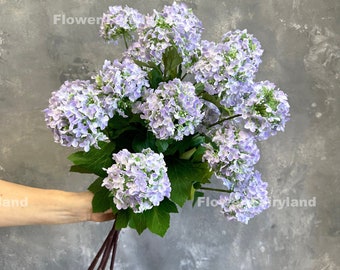 Faux Snowball Flower Bouquet | 3 Heads Snowball Stem | High Quality Artificial Flower | DIY | Wedding/Home Decoration | Gifts -Purple