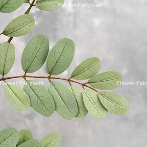 Realistic Senna Siamea Tree Branch High Quality Artificial Plant DIY Greenery Wedding/Home Decorations Gifts Dusty Green image 5