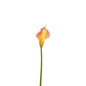 20" Natural Touch Faux Calla Lily - Artificial Flower - Flame Orange image 4