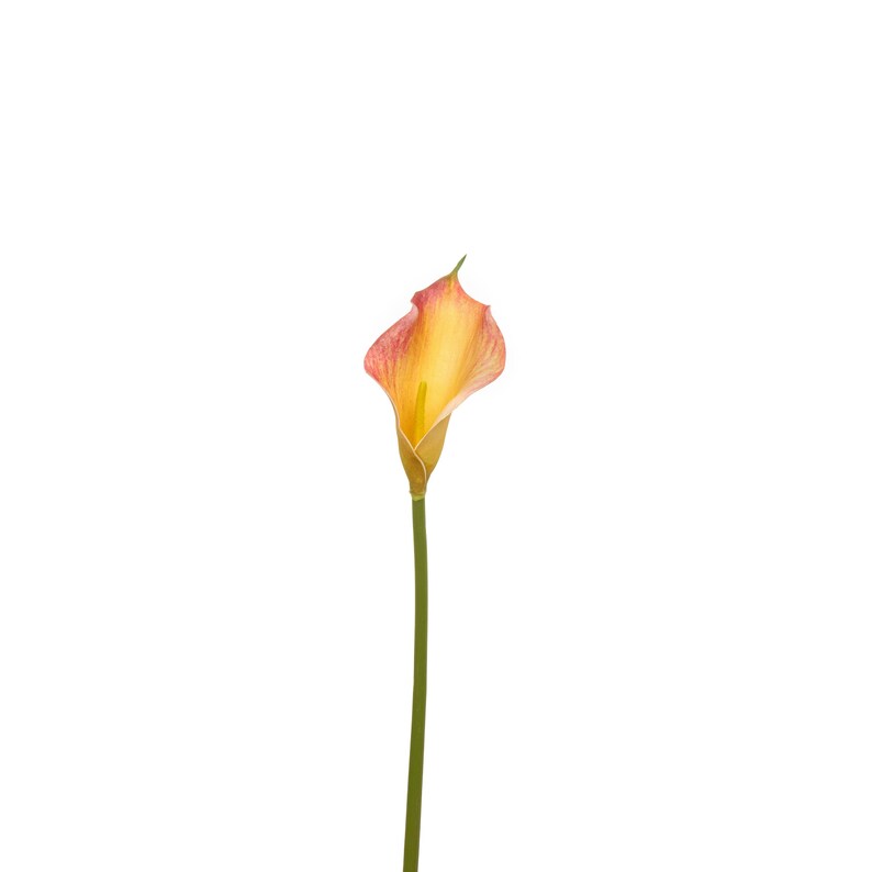 20" Natural Touch Faux Calla Lily - Artificial Flower - Flame Orange image 4