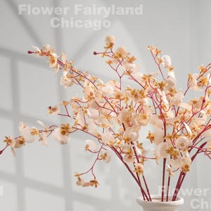 Orquídea artificial Danzante - Flor artificial - Crema rubor