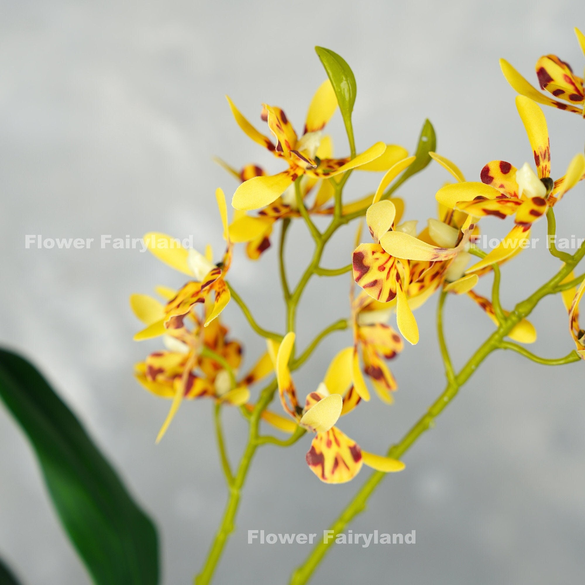 Silk Dendrobium Orchids Wholesale