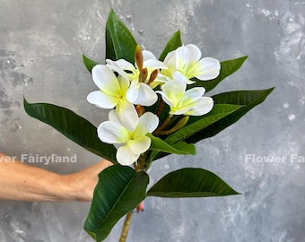Faux Plumeria Frangipani - Artificial Flower - White