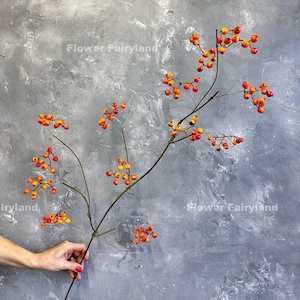 May include: A branch with orange and yellow berries against a gray background. The branch is bare except for the berries. The text "Flower Fairyland" appears twice in the image.