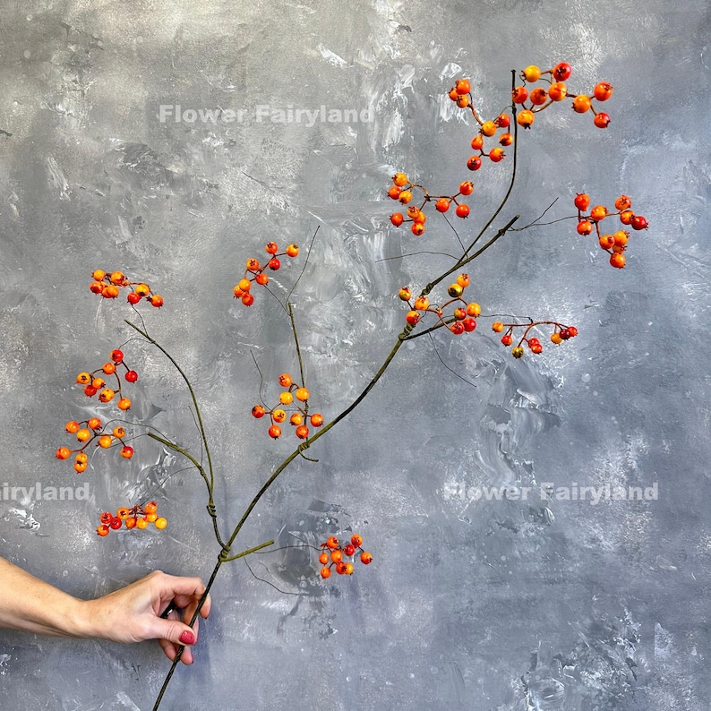May include: A branch with orange and yellow berries against a gray background. The branch is bare except for the berries. The text "Flower Fairyland" appears twice in the image.