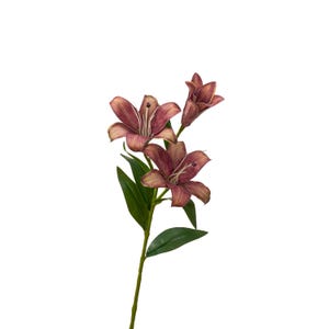 Faux lys - Fleur artificielle - Rouge brunâtre 1 Stem