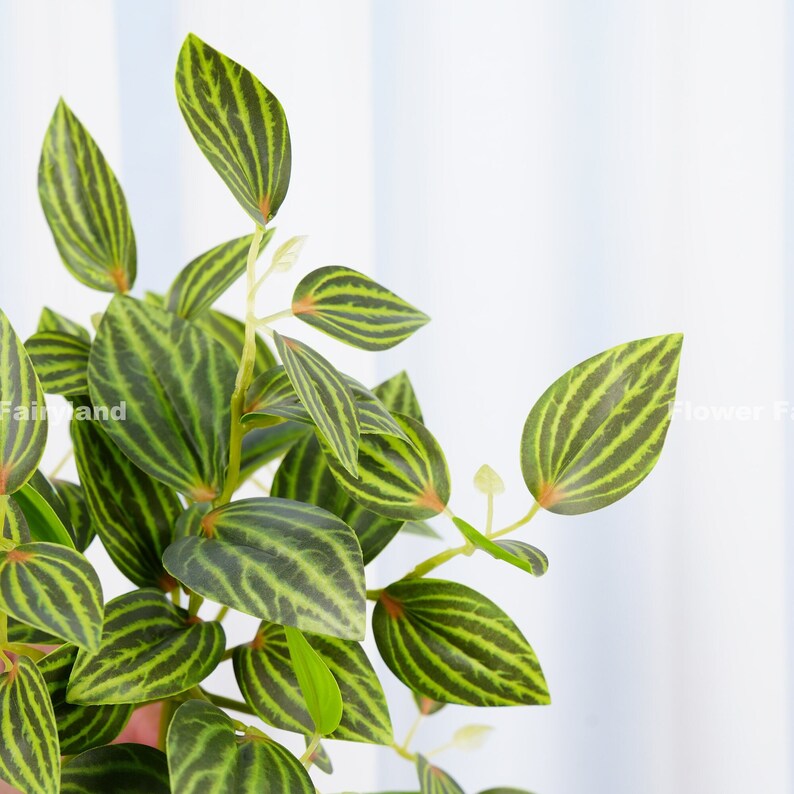 May include: A close-up of a green and yellow artificial plant with striped leaves. The plant is made of plastic and has a realistic appearance.