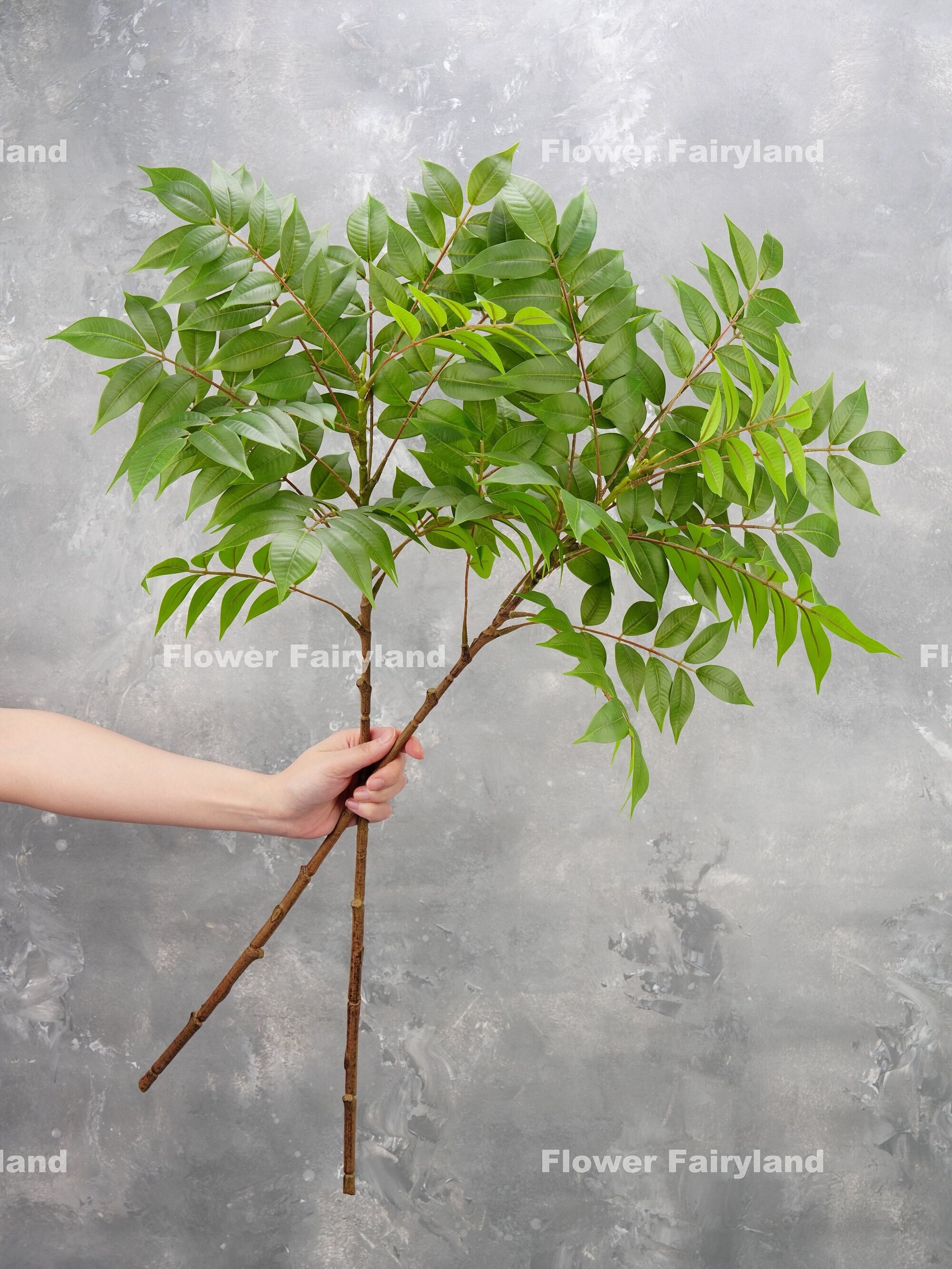 Rama de glicina de tacto natural de 91 cm - Planta artificial - Verde -  Etsy México, image size:2000x2666