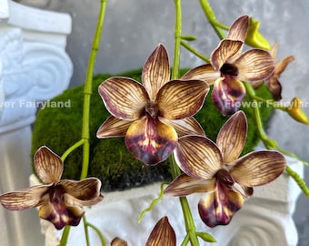 Faux Hanging Rodriguezia Orchid with Leaves and Roots - Artificial Flower - Brown