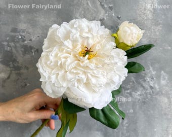 Dried Look Huge Peony with Bud Stem - Milky White
