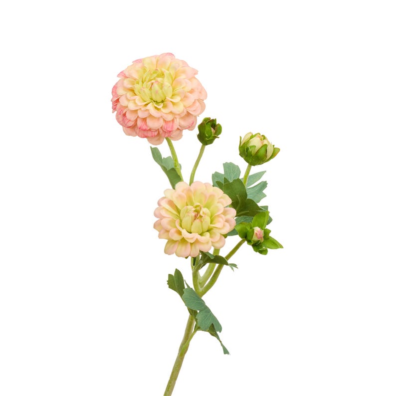 Faux Dahlia Flower with Buds - Artificial Flower - Greenish Pink 1 Stem