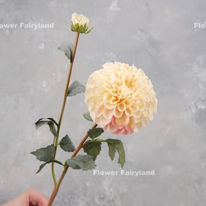 Realistic Palmares Dahlia Stem High Quality Artificial Flower Centerpieces DIY Floral Wedding/Home Decors Gifts Multi-color image 3