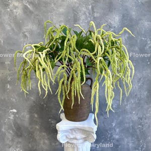 Natural Touch Amaranth Green Tails Branch - Artificial Plant - Light Green