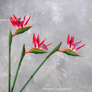 Real Touch Bird of Paradise Flower Stem - Artificial Flower - Red