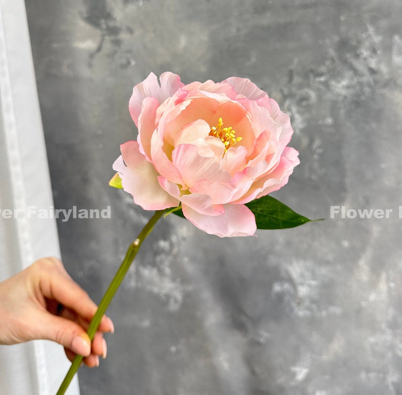 Bouquet de pivoines Tige de pivoine Fleur artificielle de haute qualité Bricolage Fleurs Décoration de mariage/maison Cadeaux Rose clair image 8