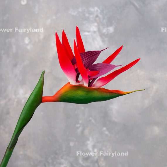 Echter Touch Paradiesvogel Blumenstngel - Kunstpflanze - Rot - Etsy  sterreich