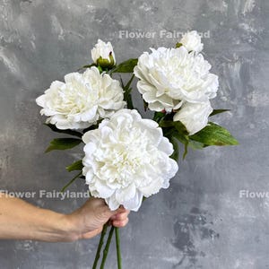 May include: A bouquet of large, white peony flowers with green leaves and stems. The flowers are fully bloomed, showcasing their layered petals. The background is a textured grey surface. The text "Flower Fairyland" is visible.