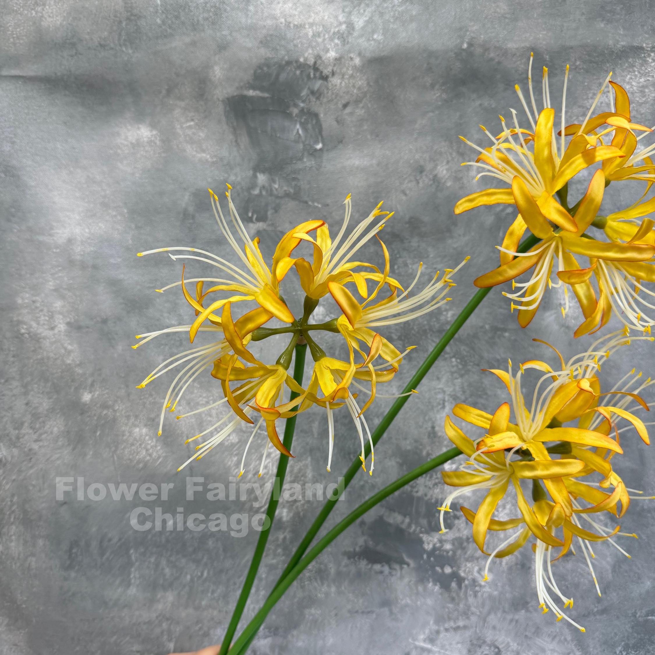 native wildflower seeds Native West Wildflower Seed Mix