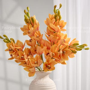 Realistic Cymbidium Hybrid Stem - Light Orange