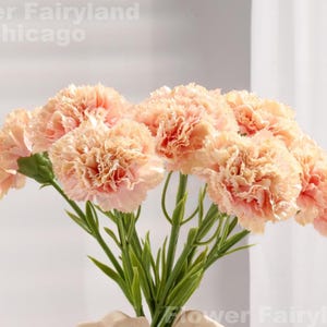 Faux Carnation Stem - Artificial Flower - Pinky Peach