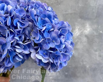 Real Touch Huge Hydrangea Stem - Artificial Flower - Blue Violet