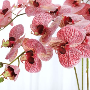 38&quot; 9 Heads Orchid Stem - Artificial Flower - Deep Magenta