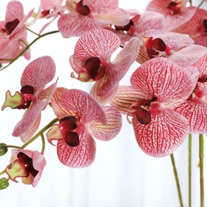 Ramo di orchidee 107 cm XXL scuro rosa seta fiori fiori artificiali  artificiale orchidea come vera