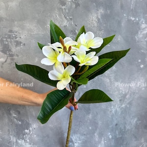 Faux Plumeria Frangipani - Artificial Flower - White
