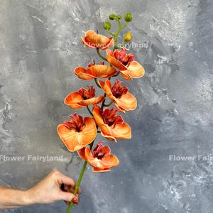 Real Touch 8 Heads Orchid Stem - Artificial Flower - Orange