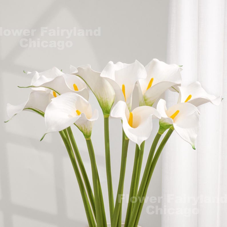 May include: A bouquet of white calla lilies with yellow centers and green stems. The flowers are arranged in a vase against a white background. The text "Flower Fairyland Chicago" is visible in the upper left and lower right corners.