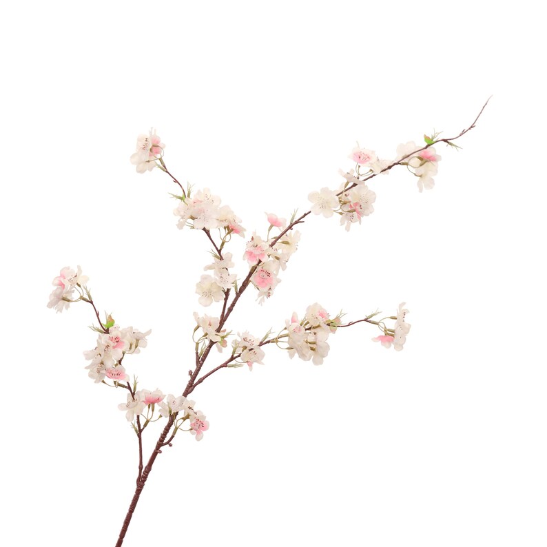 Peut inclure: Une branche de fleurs de cerisier artificielle avec des fleurs blanches et roses. La branche a plusieurs tiges avec de petites feuilles vertes, sur fond blanc. Les fleurs sont &agrave; diff&eacute;rents stades de floraison.