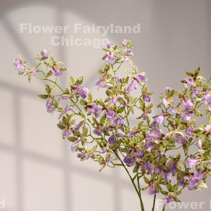 Faux Oncidium Orchid Stem - Artificial Flower - Green