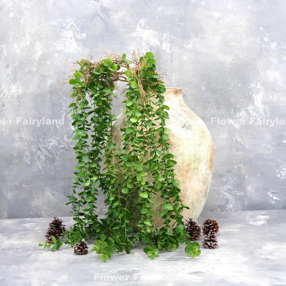 Planta colgante suculenta falsa/planta artificial/verde/floral/pared/decoración  de boda en el hogar-verde -  México