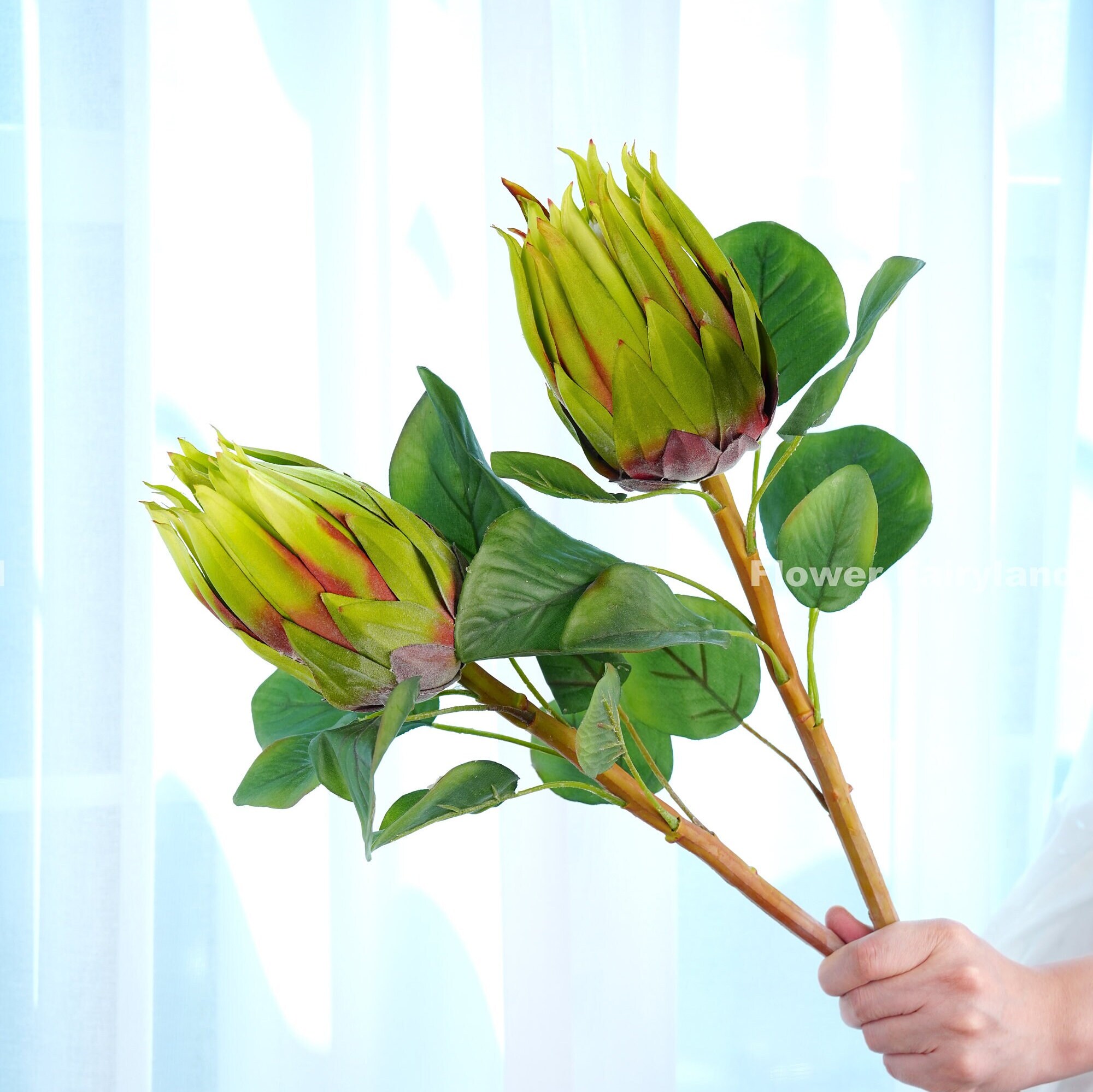 Faux King Protea Stem Artificial Flower Large Size Etsy
