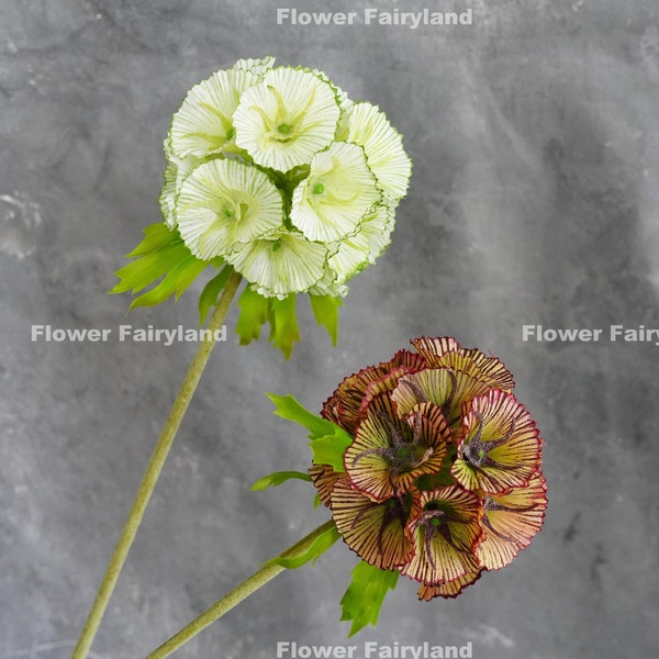 Faux Starflower Scabiosa Stellata Stem - Artificial Flower - Multi-color