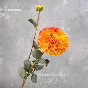 Realistic Palmares Dahlia Stem High Quality Artificial Flower Centerpieces DIY Floral Wedding/Home Decors Gifts Multi-color image 6