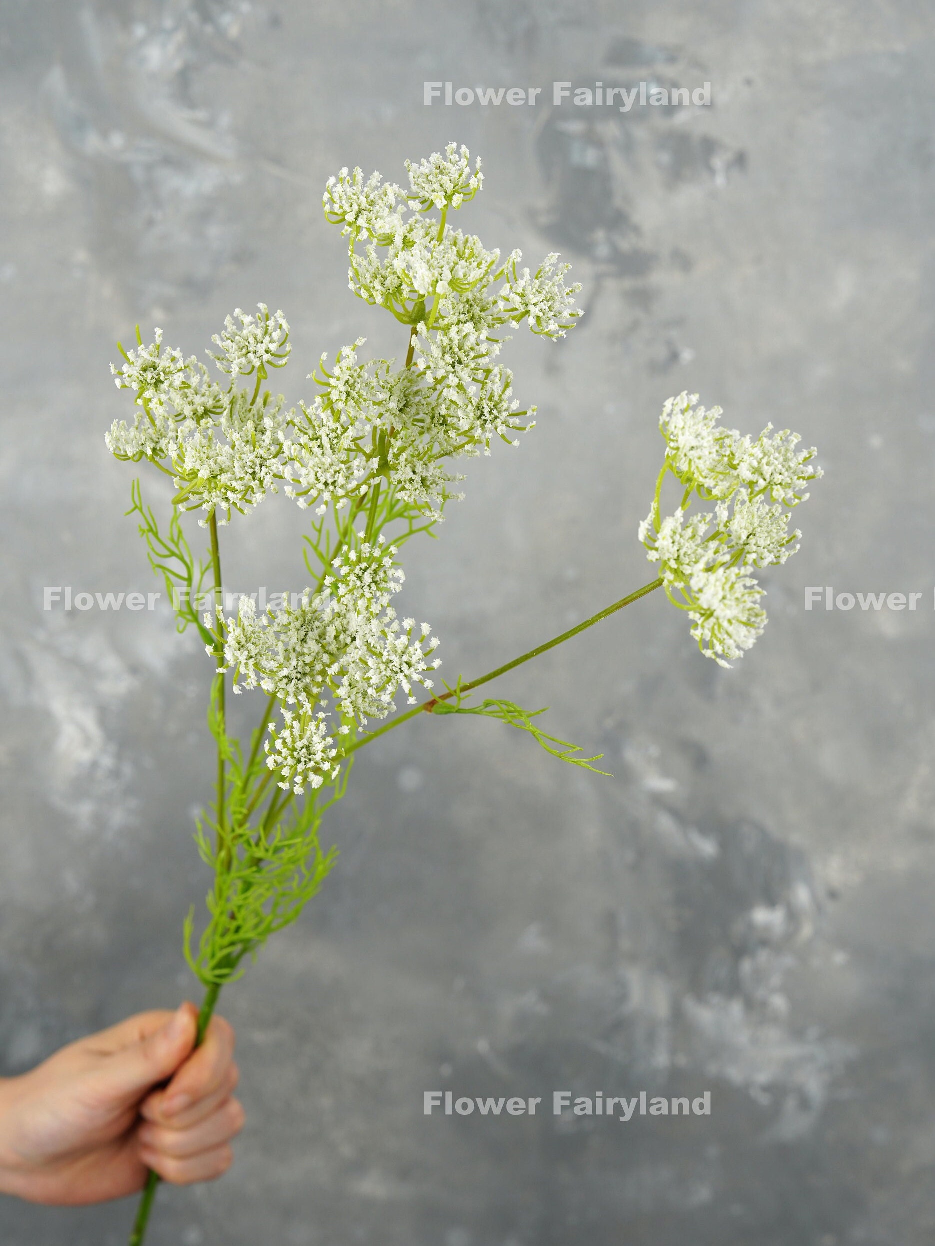 Faux Queen Anne's Lace Stems Trio White Houseplants in Green/White - The Sill