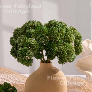 Planta artificial de tallo de sedum de tacto real, para decoración de bodas y del hogar, suministros para proyectos de bricolaje y regalos, color verde