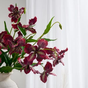 May include: A bouquet of burgundy-colored artificial flowers with green and white accents. The flowers have a unique shape and are arranged in a white vase. Green leaves and stems add to the natural look. The background is a white curtain.