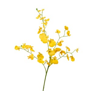 Orquídea artificial Danzante - Flor artificial - Amarilla