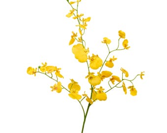 Orquídea artificial Danzante - Flor artificial - Amarilla