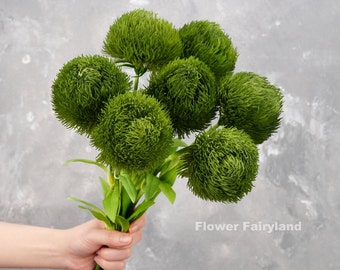 Real Touch Dianthus Green Ball Bouquet | Dianthus Green Ball Stem | High Quality Artificial Plant | DIY | Floral | Home Decoration | Gifts