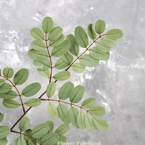 Realistic Senna Siamea Tree Branch High Quality Artificial Plant DIY Greenery Wedding/Home Decorations Gifts Dusty Green image 4