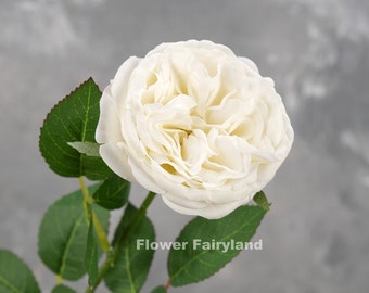 Real Touch English Rose Stem | David Austin Rose | High Quality Artificial Flower | DIY | Wedding/Home Decoration | Gifts - White