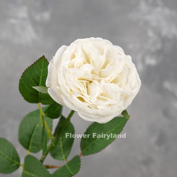 Real Touch English Rose Stem | David Austin Rose | High Quality Artificial Flower | DIY | Wedding/Home Decoration | Gifts - White