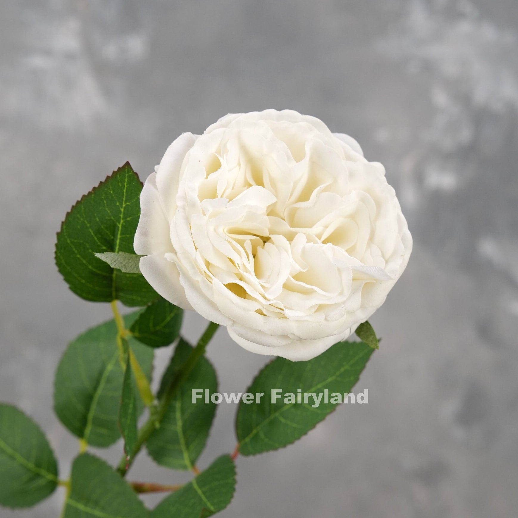 Real Touch David Austin Rose Stem - Artificial Flower - Bright White
