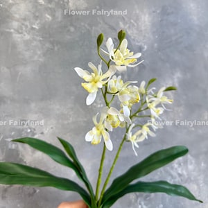 Faux Dendrobium Orchid Plant with Leaves and Roots - Artificial Flower - White